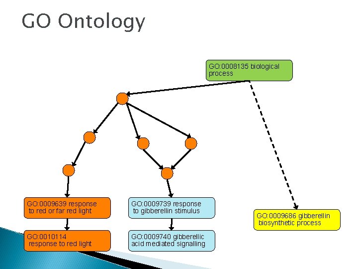 GO Ontology GO: 0008135 biological process GO: 0009639 response to red or far red