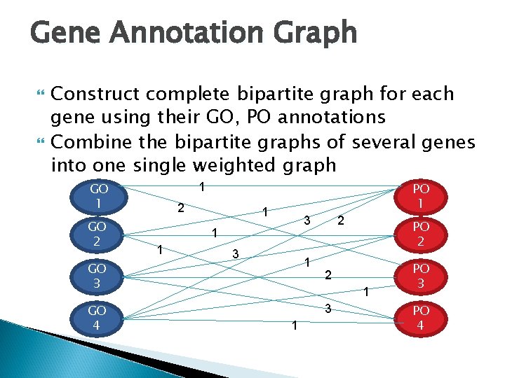 Gene Annotation Graph Construct complete bipartite graph for each gene using their GO, PO