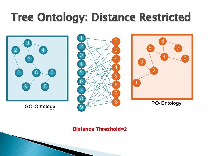 Tree Ontology: Distance Restricted 1 3 2 2 4 3 5 1 4 6