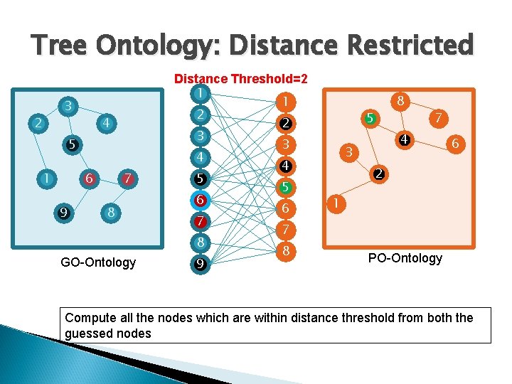 Tree Ontology: Distance Restricted 3 2 4 5 1 6 9 7 8 GO-Ontology