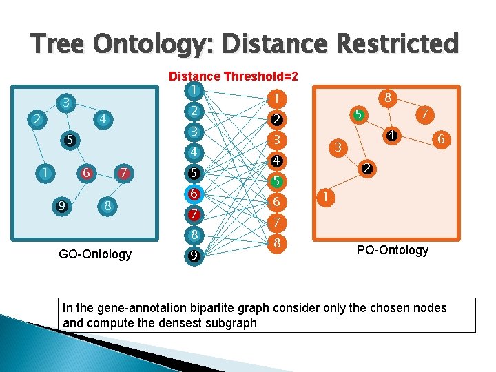 Tree Ontology: Distance Restricted 3 2 4 5 1 6 9 7 8 GO-Ontology