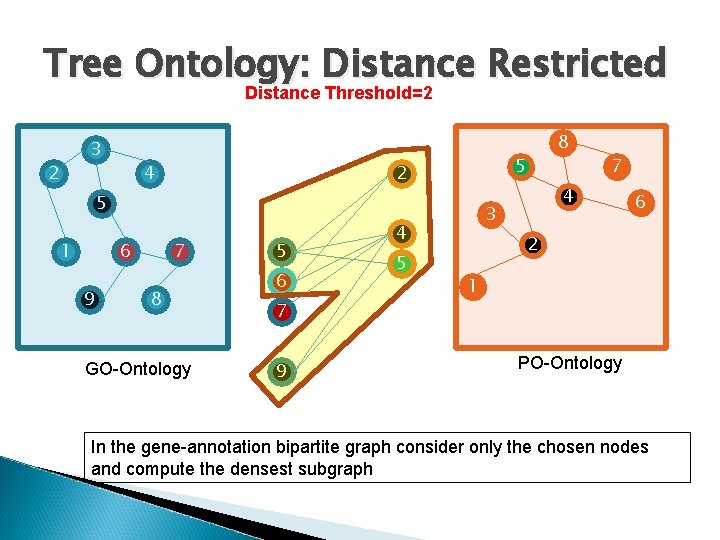 Tree Ontology: Distance Restricted Distance Threshold=2 3 2 4 5 2 5 1 6