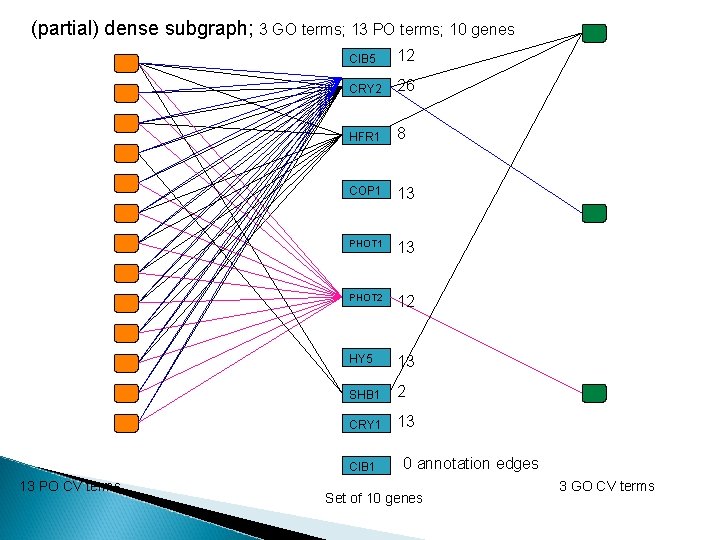 (partial) dense subgraph; 3 GO terms; 13 PO terms; 10 genes CIB 5 12