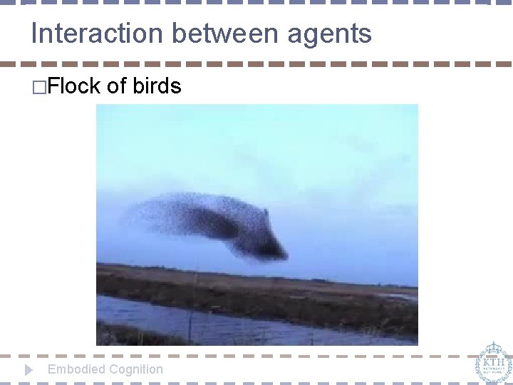 Interaction between agents �Flock of birds Embodied Cognition 