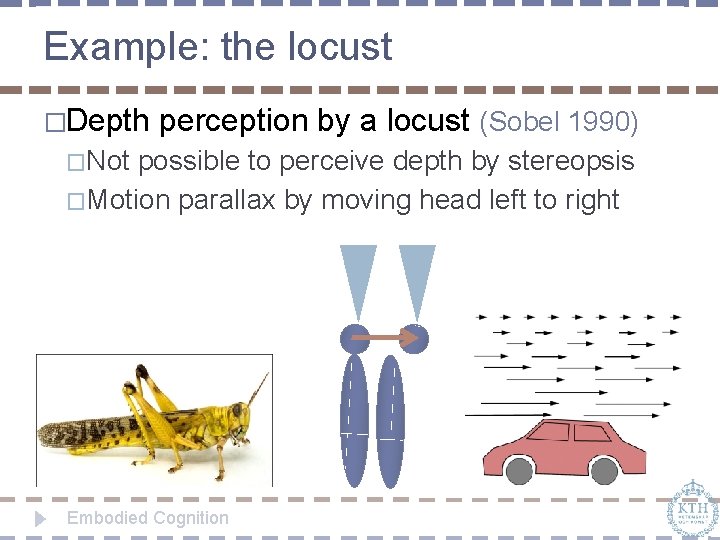 Example: the locust �Depth perception by a locust (Sobel 1990) �Not possible to perceive