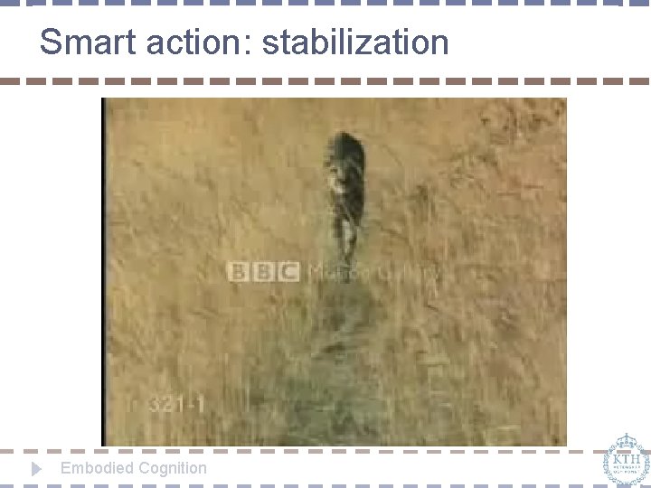 Smart action: stabilization Embodied Cognition 