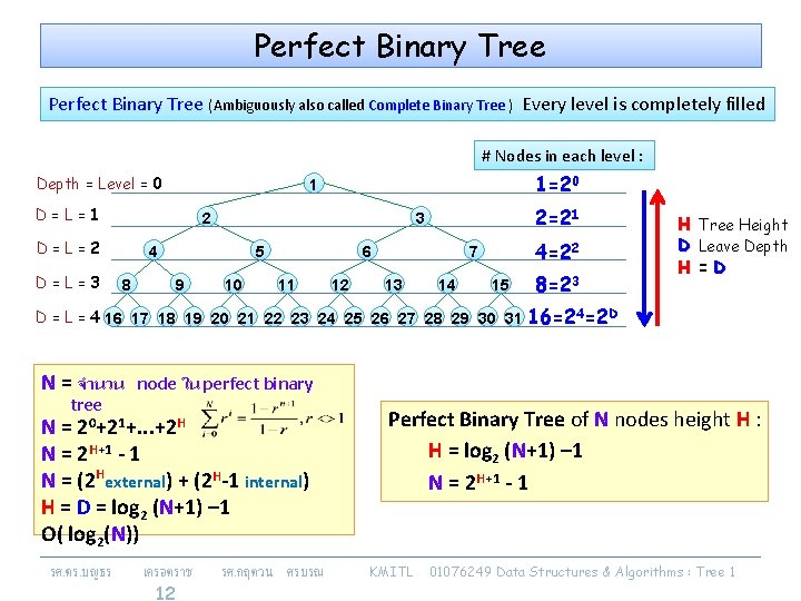 Perfect Binary Tree (Ambiguously also called Complete Binary Tree ) Every level is completely