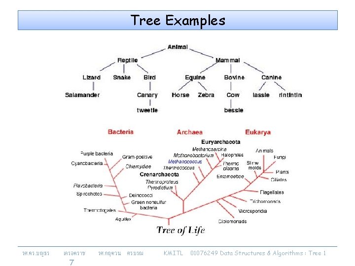 Tree Examples รศ. ดร. บญธร เครอตราช 7 รศ. กฤตวน ศรบรณ KMITL 01076249 Data Structures