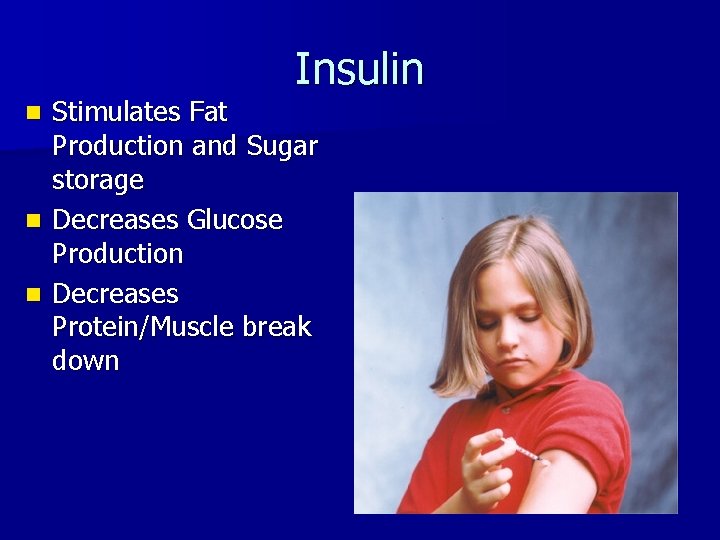 Insulin Stimulates Fat Production and Sugar storage n Decreases Glucose Production n Decreases Protein/Muscle