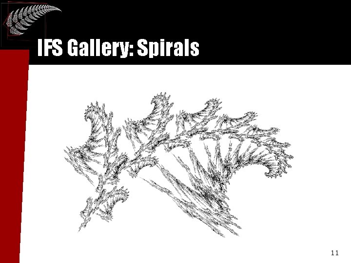 IFS Gallery: Spirals 11 