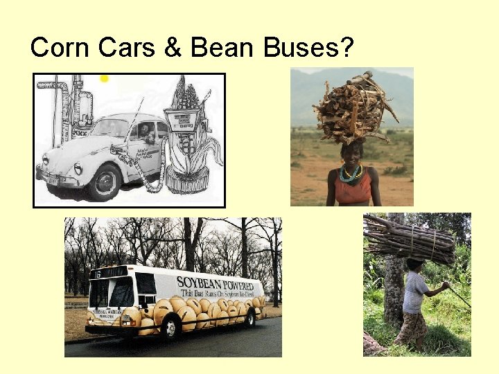Corn Cars & Bean Buses? 