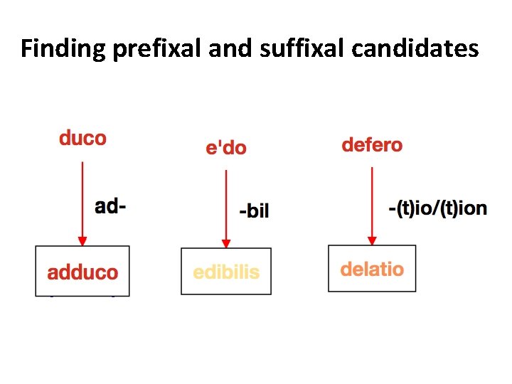 Finding prefixal and suffixal candidates 