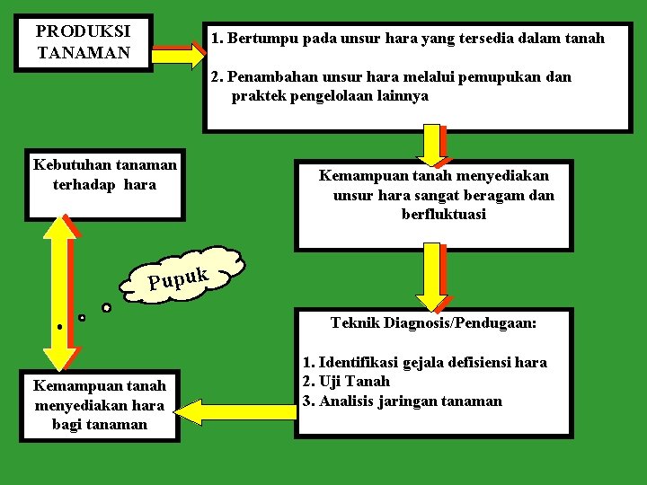 PRODUKSI TANAMAN 1. Bertumpu pada unsur hara yang tersedia dalam tanah 2. Penambahan unsur