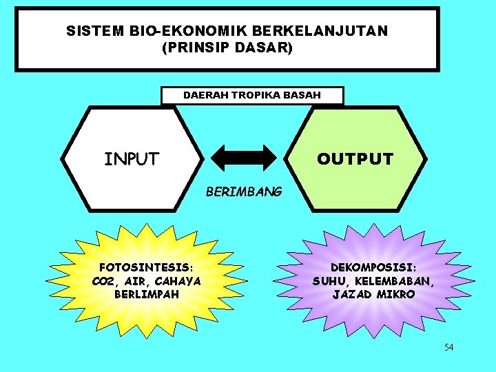 SISTEM BIO-EKONOMIK BERKELANJUTAN (PRINSIP DASAR) DAERAH TROPIKA BASAH OUTPUT INPUT BERIMBANG FOTOSINTESIS: CO 2,