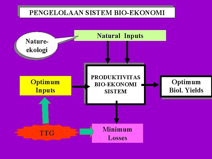 PENGELOLAAN SISTEM BIO-EKONOMI Natureekologi Optimum Inputs TTG Natural Inputs PRODUKTIVITAS BIO-EKONOMI SISTEM Minimum Losses