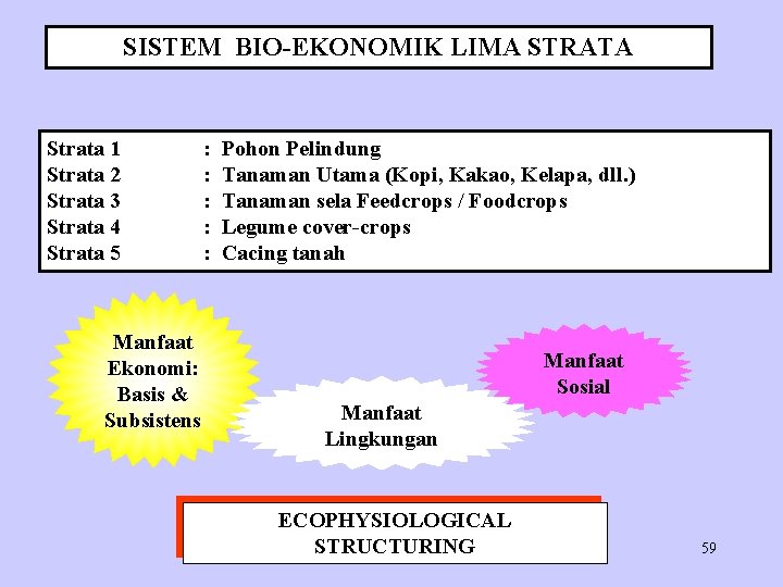 SISTEM BIO-EKONOMIK LIMA STRATA Strata 1 Strata 2 Strata 3 Strata 4 Strata 5