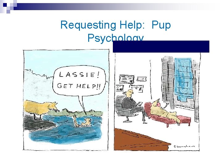 Requesting Help: Pup Psychology 