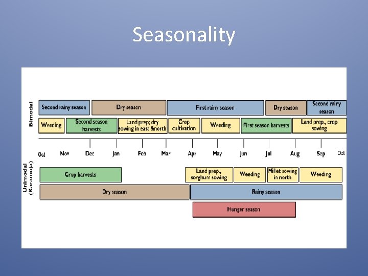 Seasonality 