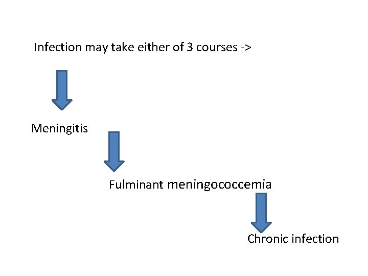 Infection may take either of 3 courses -> Meningitis Fulminant meningococcemia Chronic infection 