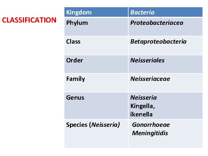 CLASSIFICATION Kingdom Phylum Bacteria Proteobacteriacea Class Betaproteobacteria Order Neisseriales Family Neisseriaceae Genus Neisseria Kingella,