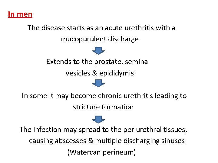 In men The disease starts as an acute urethritis with a mucopurulent discharge Extends