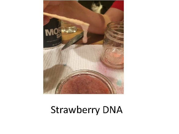 Strawberry DNA 
