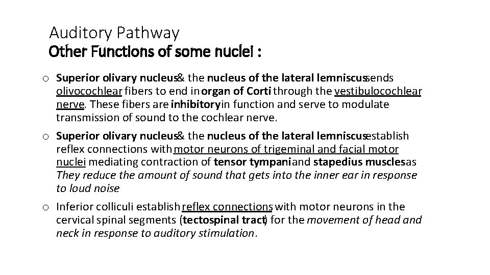 Auditory Pathway Other Functions of some nuclei : o Superior olivary nucleus& the nucleus
