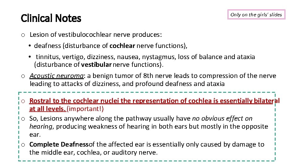 Clinical Notes Only on the girls’ slides o Lesion of vestibulocochlear nerve produces: •