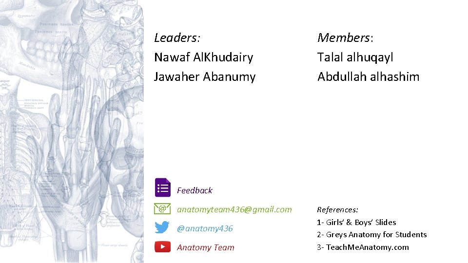 Leaders: Nawaf Al. Khudairy Jawaher Abanumy Members: Talal alhuqayl Abdullah alhashim Feedback anatomyteam 436@gmail.