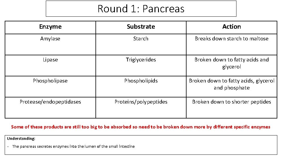 Round 1: Pancreas Enzyme Substrate Action Amylase Starch Breaks down starch to maltose Lipase