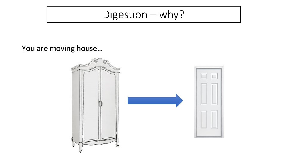 Digestion – why? You are moving house… 