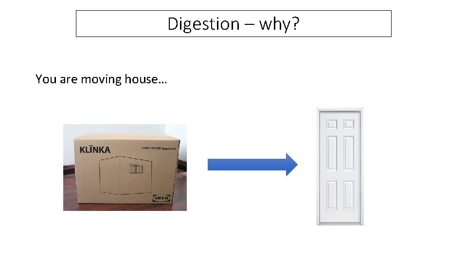 Digestion – why? You are moving house… 
