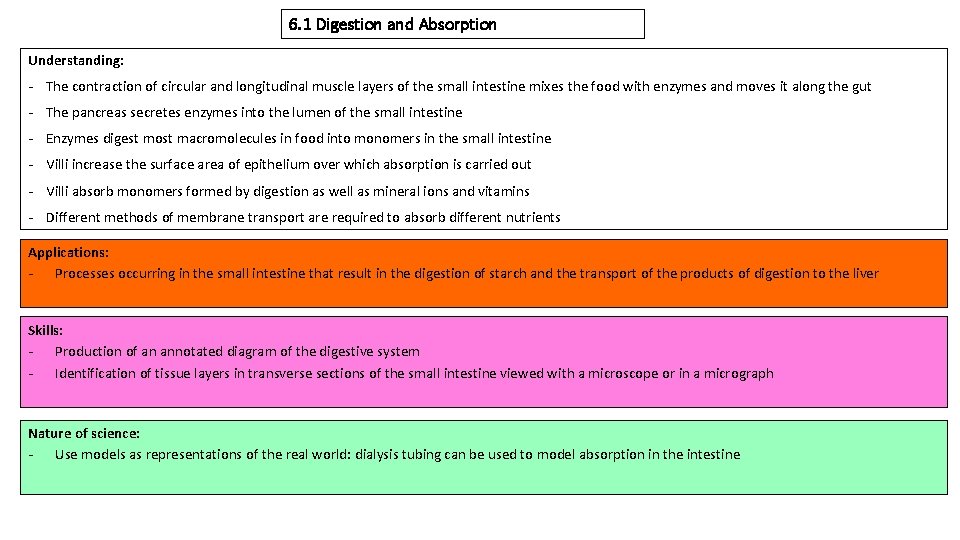 6. 1 Digestion and Absorption Understanding: - The contraction of circular and longitudinal muscle