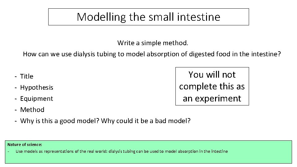 Modelling the small intestine Write a simple method. How can we use dialysis tubing
