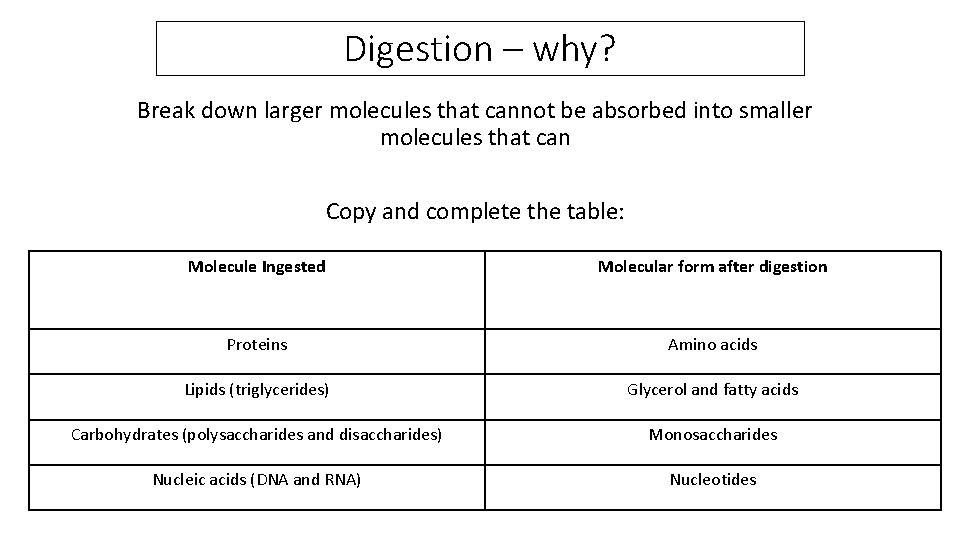 Digestion – why? Break down larger molecules that cannot be absorbed into smaller molecules