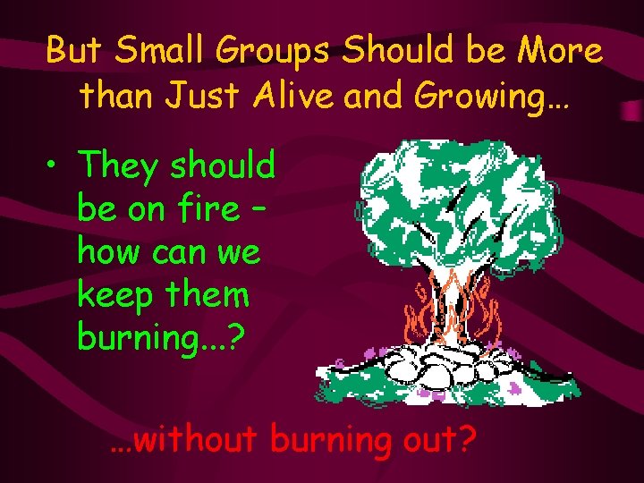 But Small Groups Should be More than Just Alive and Growing… • They should