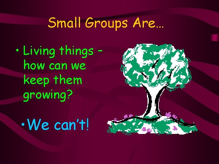 Small Groups Are… • Living things – how can we keep them growing? •