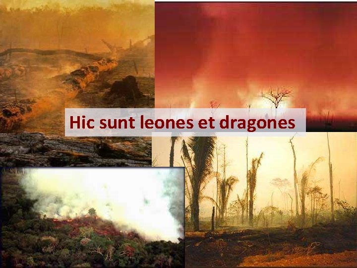 Hic sunt leones et dragones fonte: Carlos Nobre 