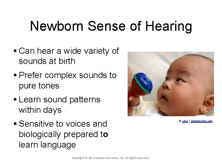 Newborn Sense of Hearing § Can hear a wide variety of sounds at birth