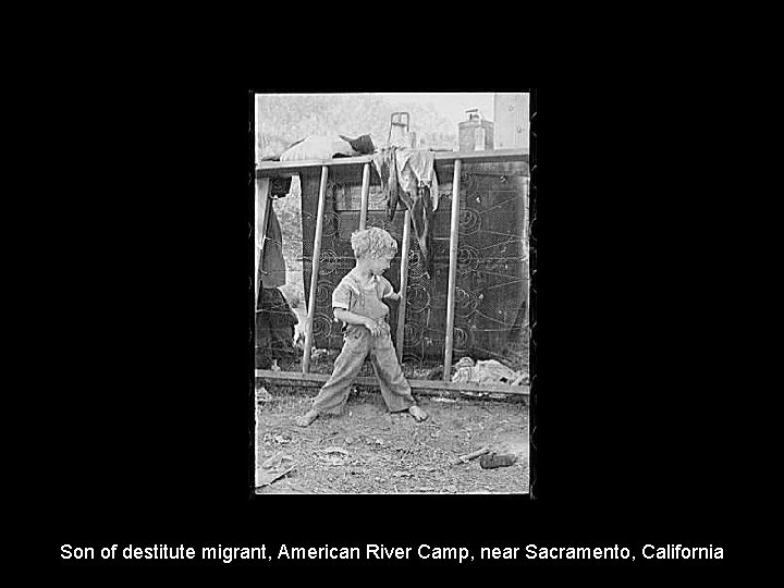 Son of destitute migrant, American River Camp, near Sacramento, California 