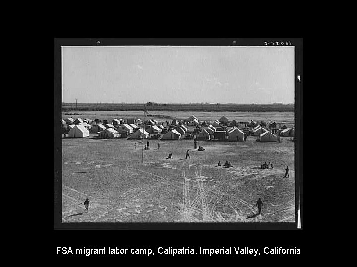 FSA migrant labor camp, Calipatria, Imperial Valley, California 