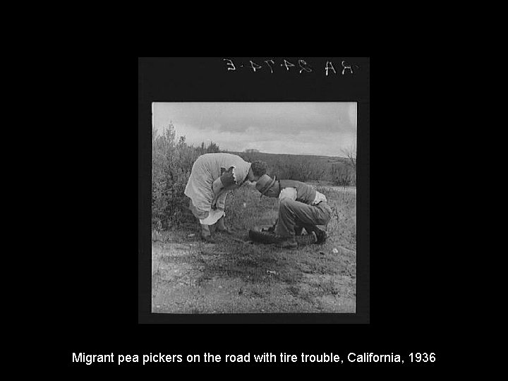 Migrant pea pickers on the road with tire trouble, California, 1936 