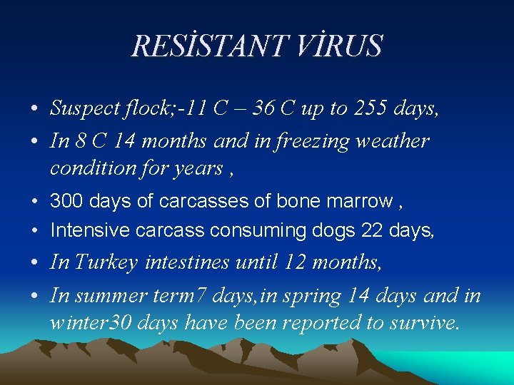 RESİSTANT VİRUS • Suspect flock; -11 C – 36 C up to 255 days,