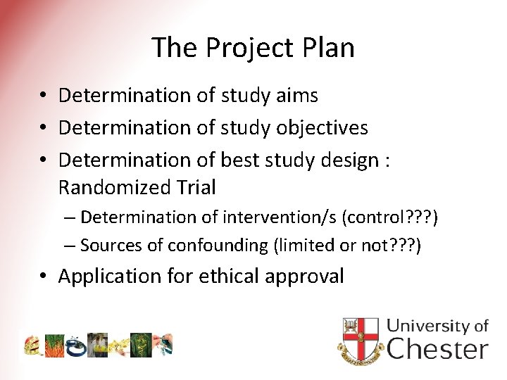 The Project Plan • Determination of study aims • Determination of study objectives •