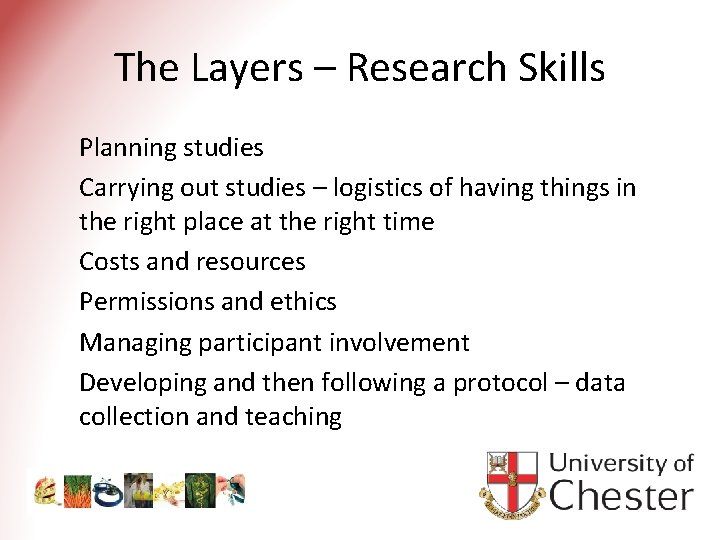 The Layers – Research Skills Planning studies Carrying out studies – logistics of having