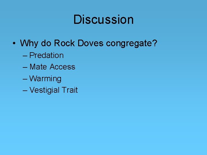 Discussion • Why do Rock Doves congregate? – Predation – Mate Access – Warming