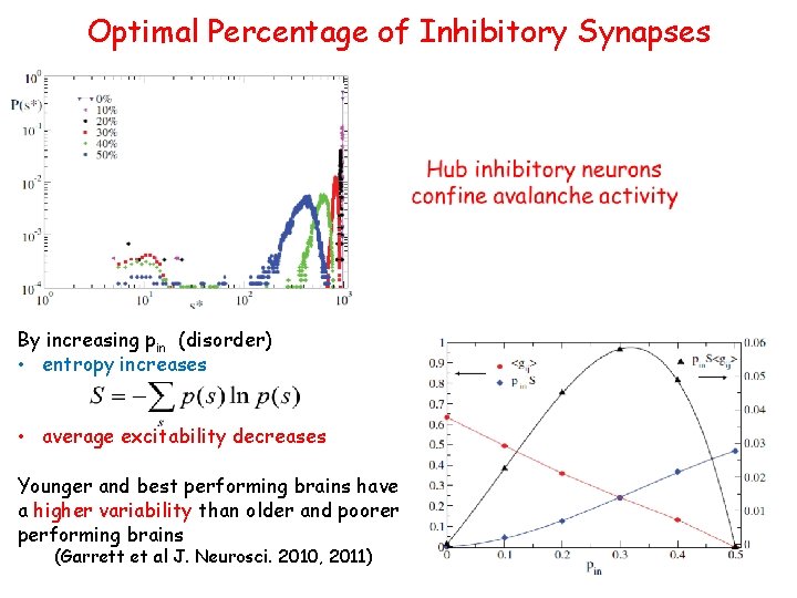 Optimal Percentage of Inhibitory Synapses By increasing pin (disorder) • entropy increases • average