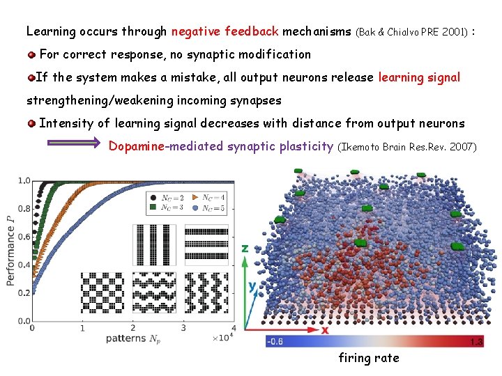 Learning occurs through negative feedback mechanisms (Bak & Chialvo PRE 2001) : For correct