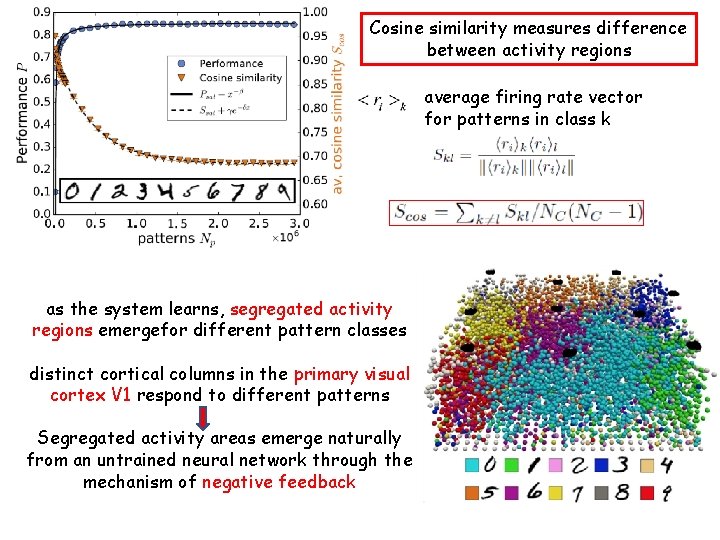 Cosine similarity measures difference between activity regions average firing rate vector for patterns in