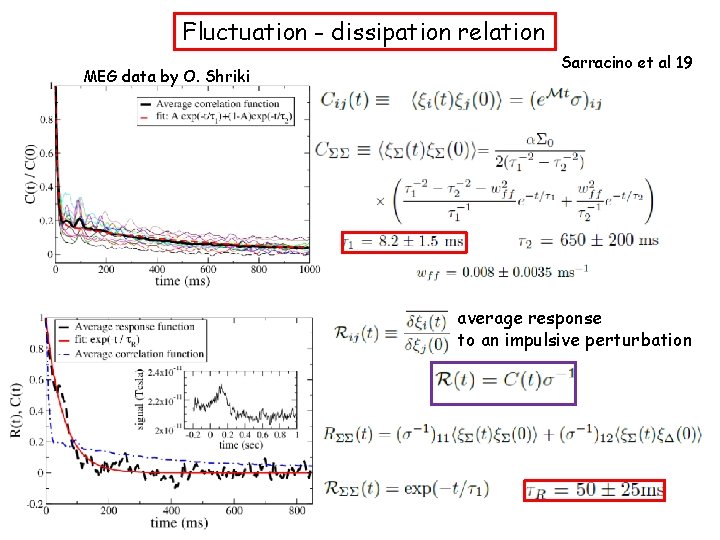 Fluctuation - dissipation relation MEG data by O. Shriki Sarracino et al 19 average
